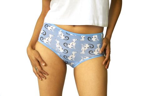 Boyshort Set of 6