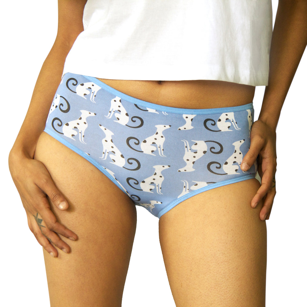 Boyshort Set of 6